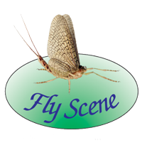 flyscene